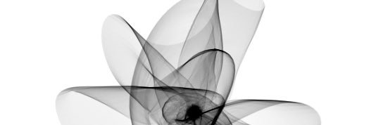 DavDandrea's profile banner image