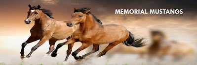 Josh Siegfried banner