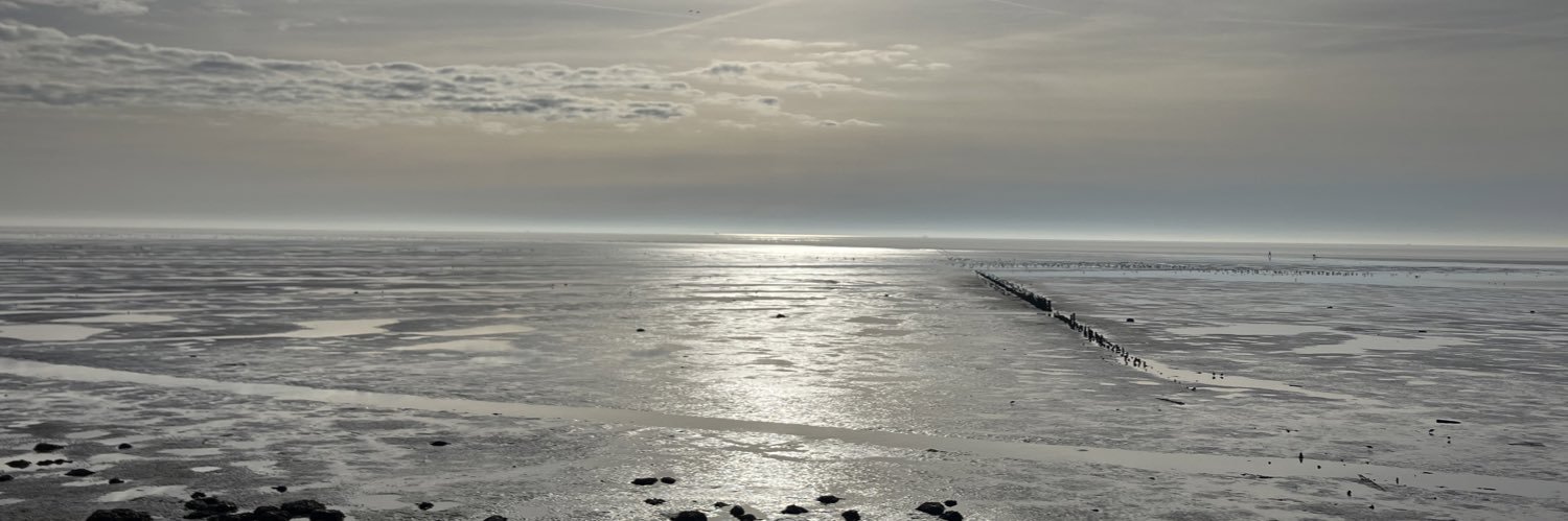 Wouter Groot Lipman banner