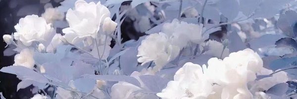 RSyaooooo Profile Banner
