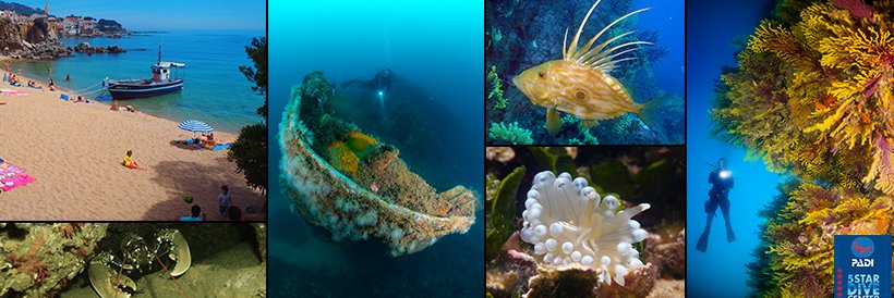 PoseidonCalella's profile banner image