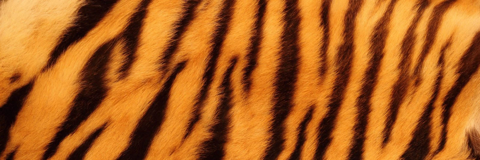 mon73x's profile banner image