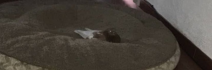 YoNoMeCalloNada banner