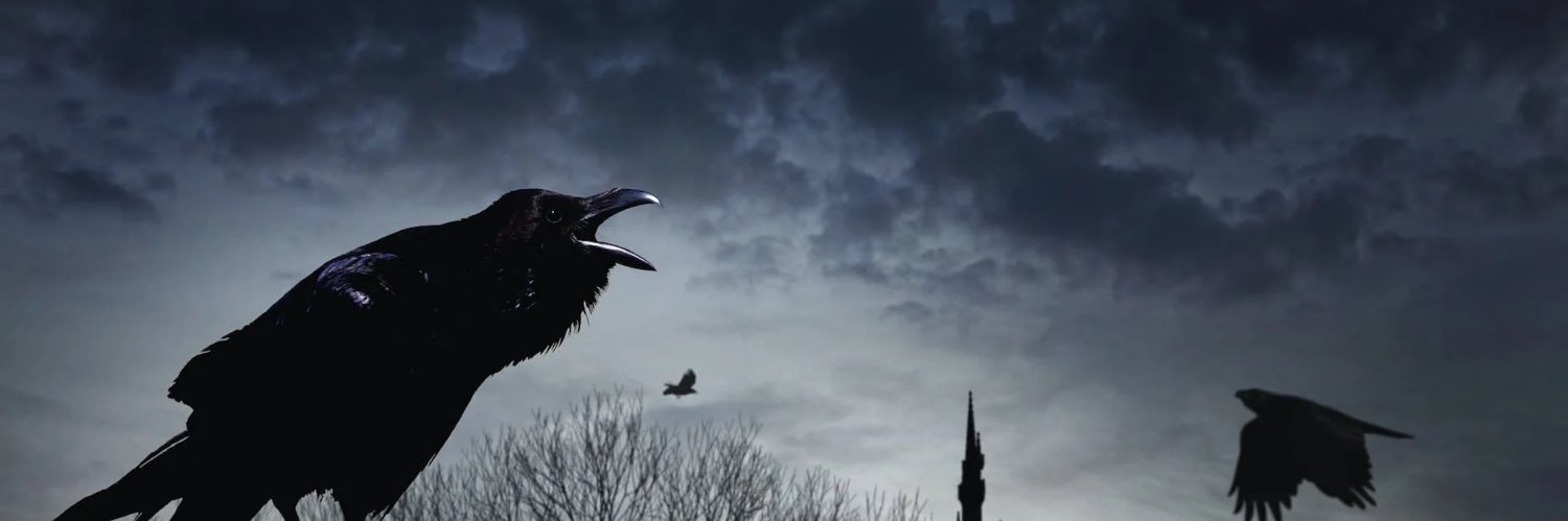 Mayonnaise Menace banner