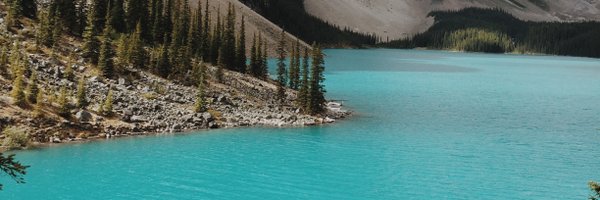 cjdowner Profile Banner