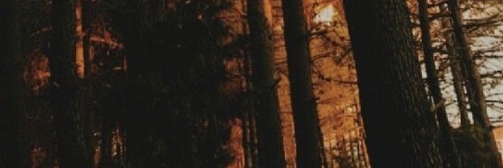 RELATIVEFlCTION's profile banner image