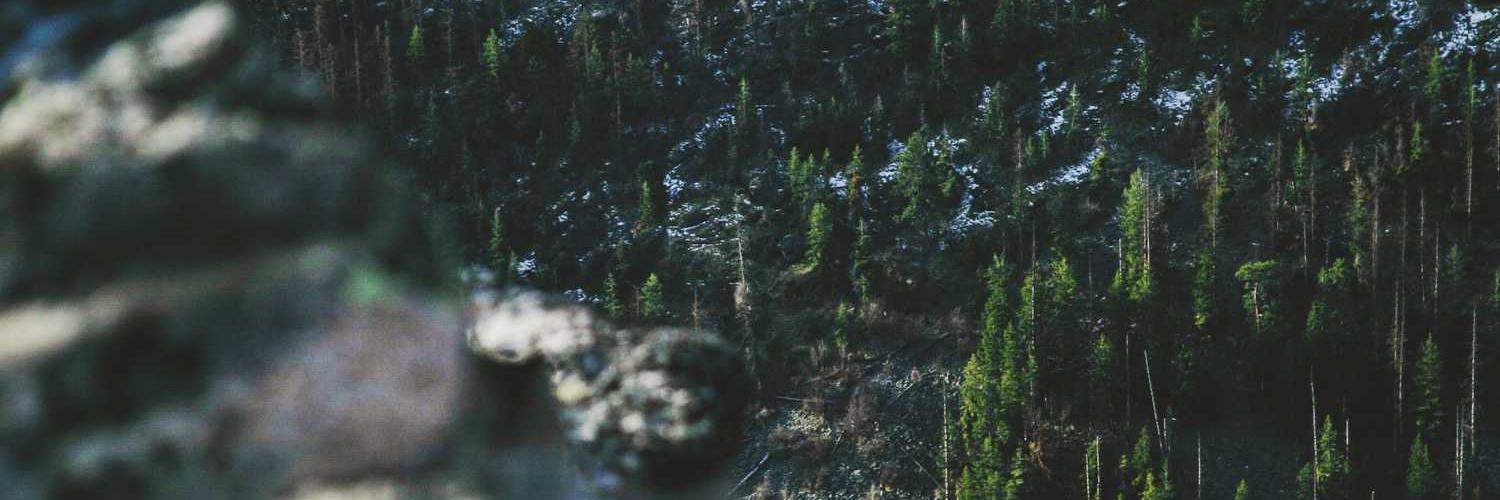nahinftt's profile banner image