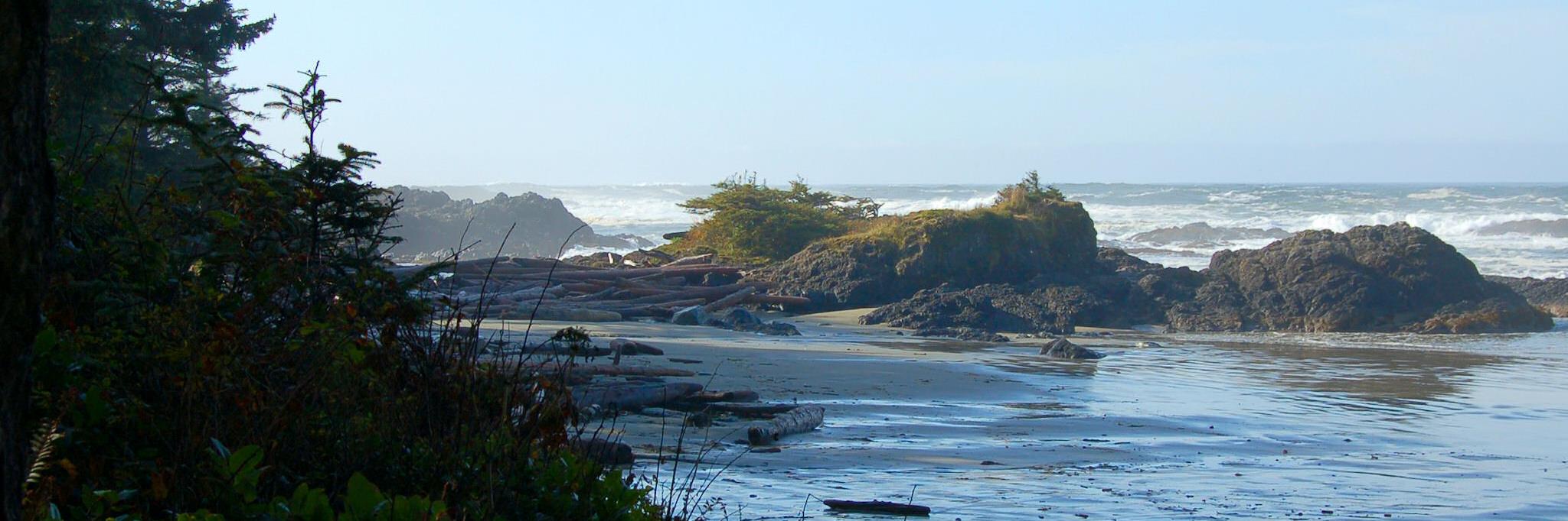 Conan Reis 🇨🇦 banner