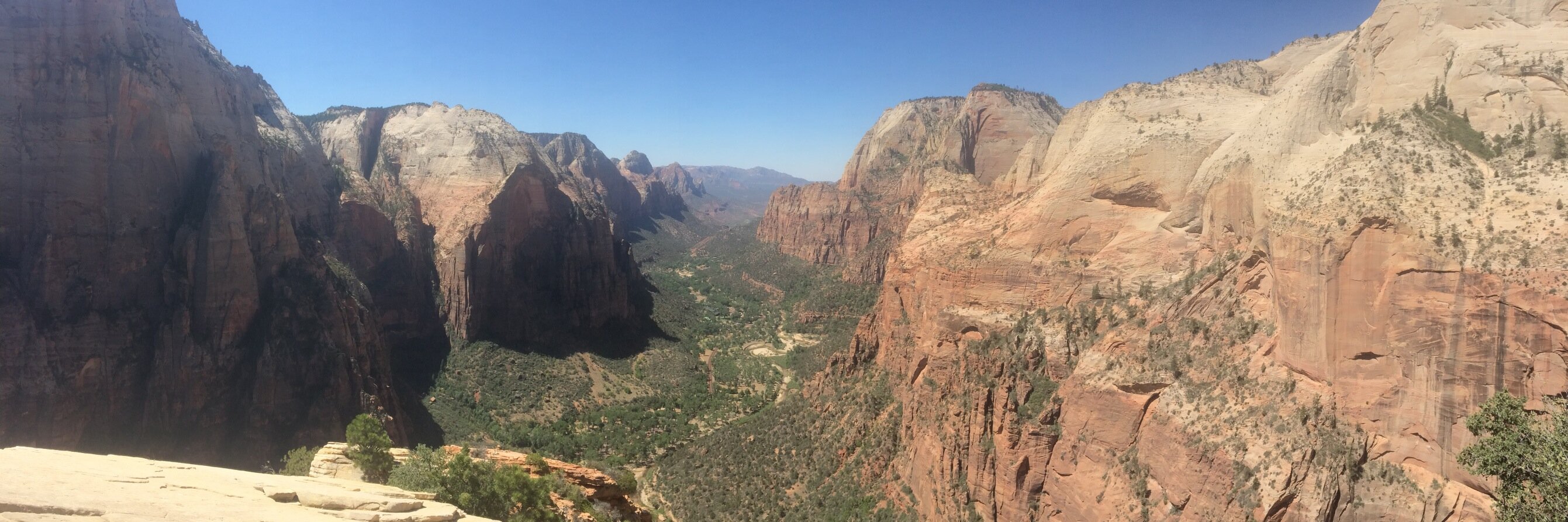 Steve Shepard banner