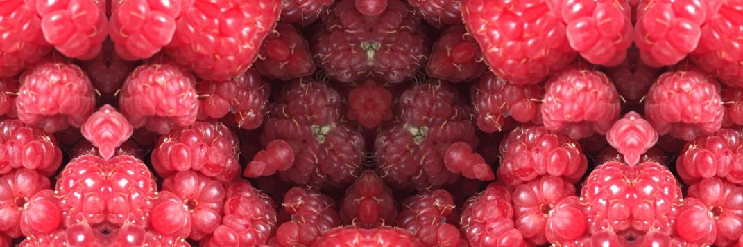 OFREfruit's profile banner image