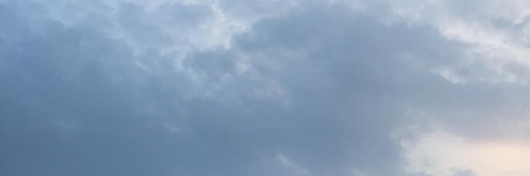 lovedecarlo's profile banner image