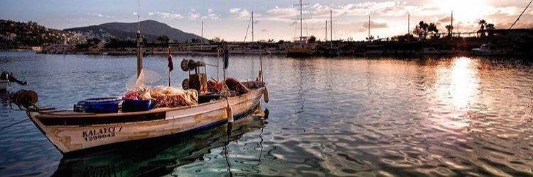 guldenkaslioglu's profile banner image