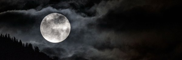 Alondra0692 Profile Banner