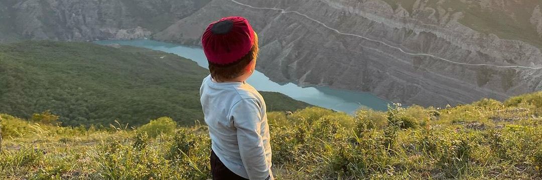 Most Wanted Papi 🐻 banner