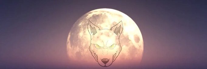 ⚡️QuarterBoySC⚡️'s banner