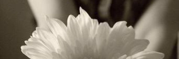 lona202's profile banner image