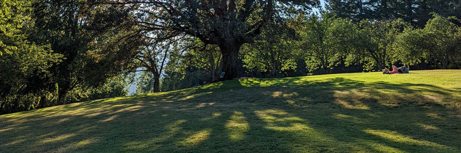 AllisonStark's profile banner image
