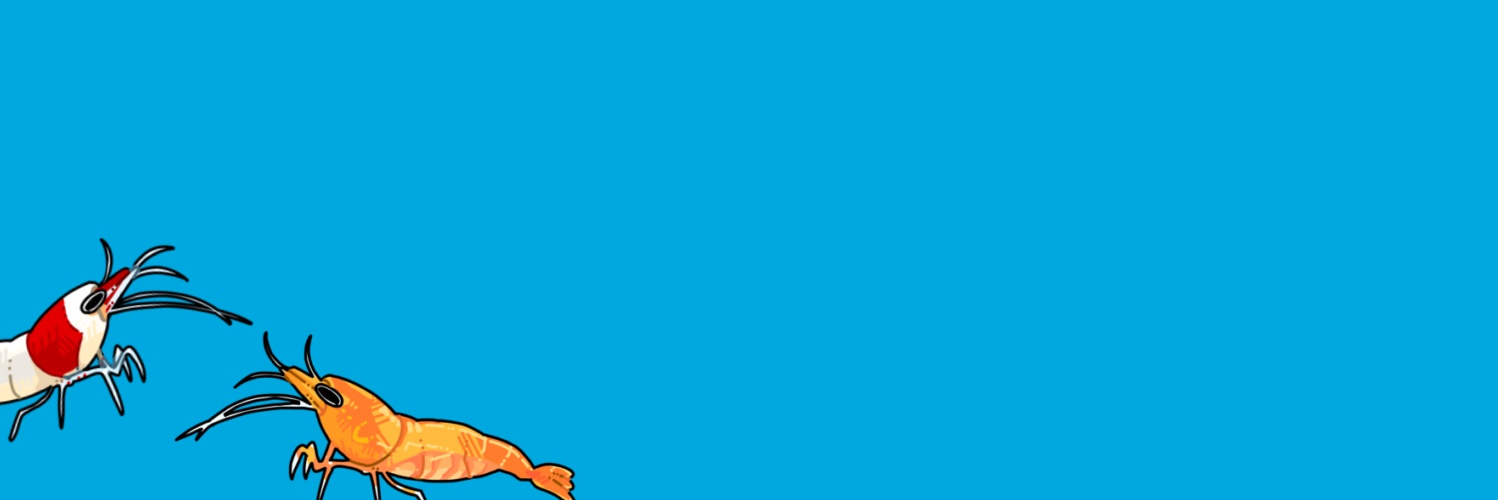 EBIMUITA's profile banner image