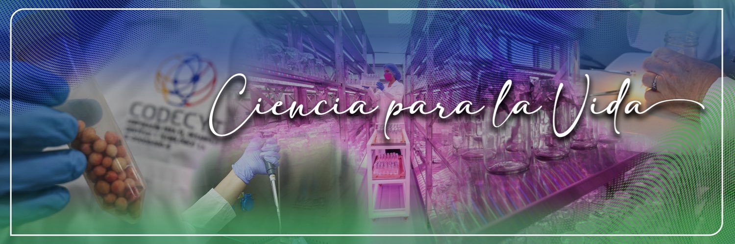 Gabriela Jiménez banner