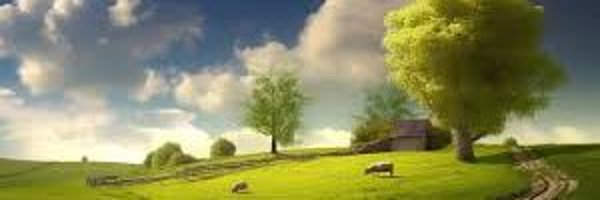 Maksym69199488 Profile Banner