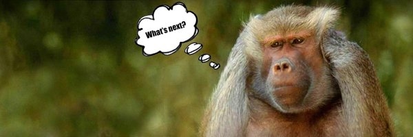BaldoCryptoaap's profile banner image