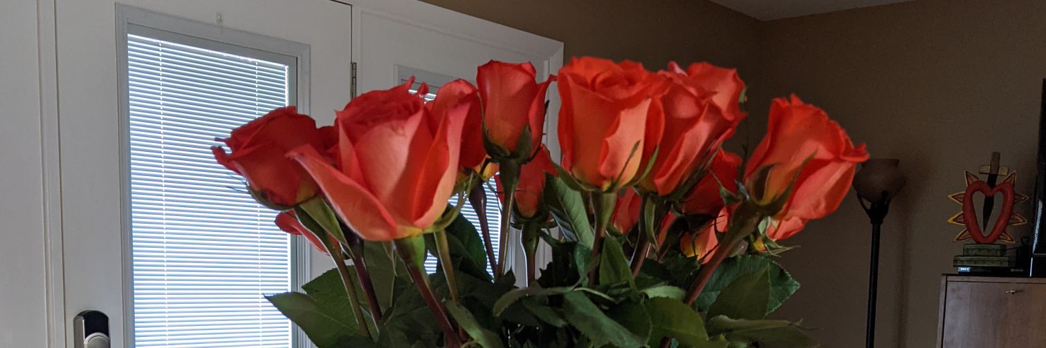 Nancy Text READY to 644-33 banner