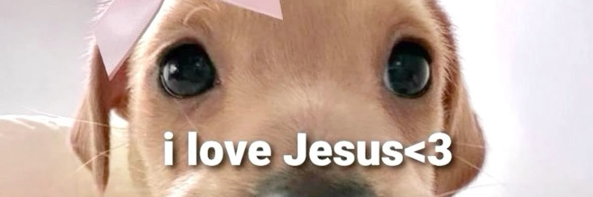 Rejaibaby's profile banner image