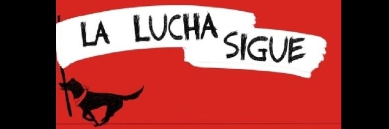 elias_cq's profile banner image