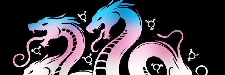 paper 🩵🩷🤍🩷🩵's banner