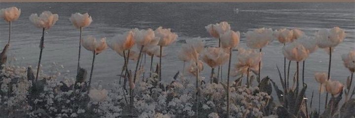 Lama🥀 banner