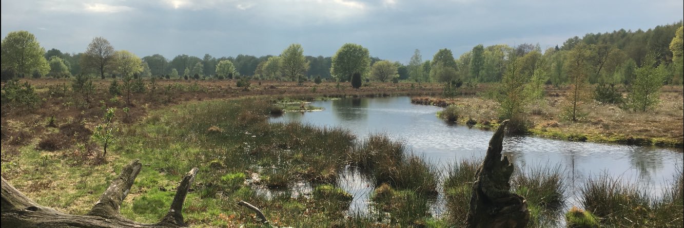 Arnoud Knoeff banner