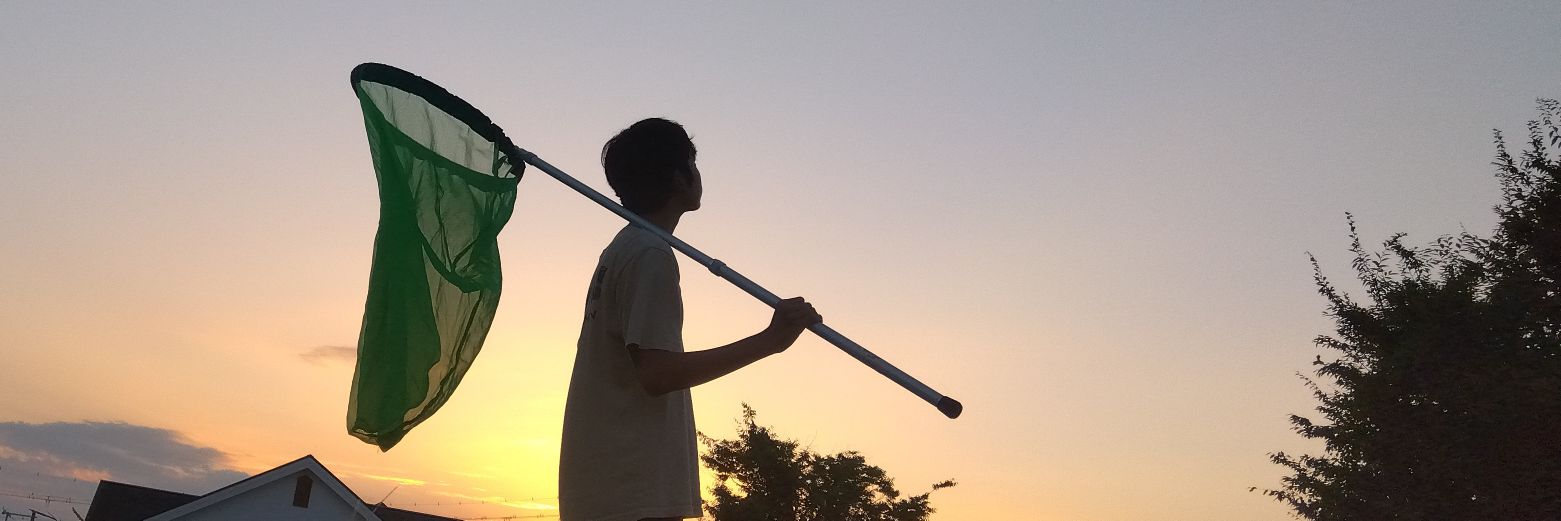 シジミ少年 banner