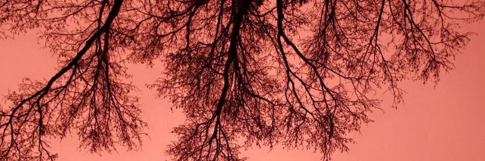 VictoriaRodri_'s profile banner image