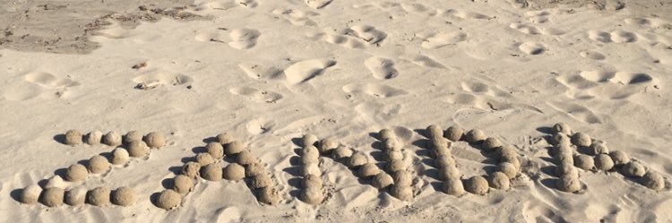 AHort67's profile banner image