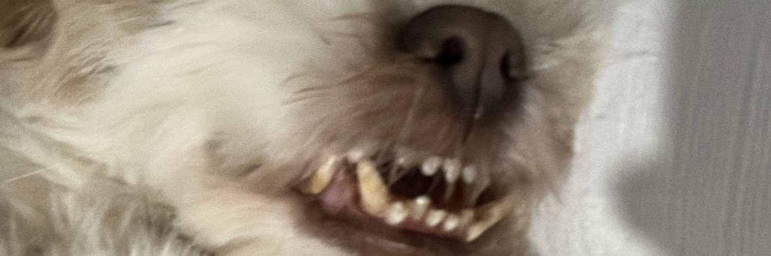 vitoriacmle's profile banner image