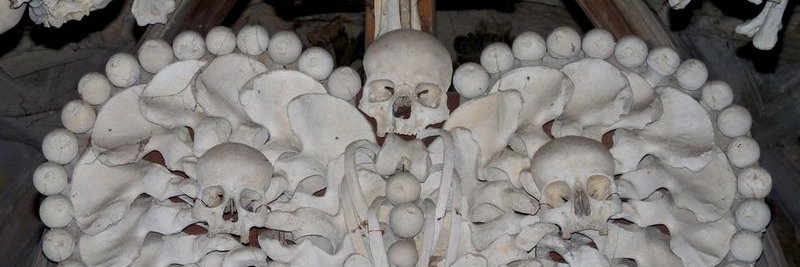 𝕯𝖗𝖆𝖚𝖌𝖆𝖉𝖗𝖔́𝖙𝖙𝖎𝖓𝖓 banner