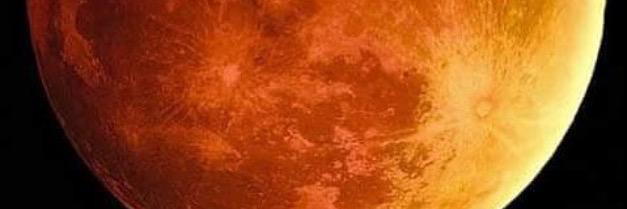 Rumi G. banner