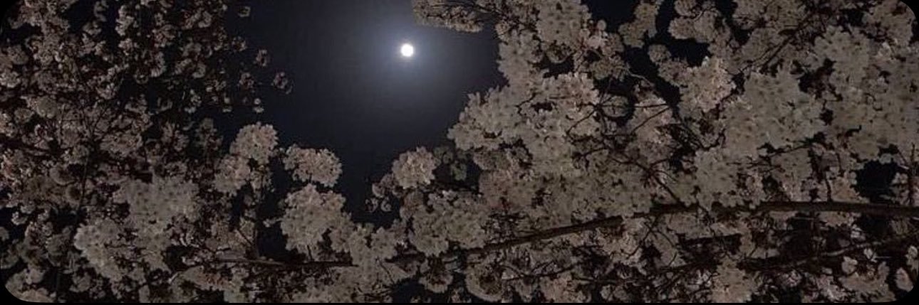 𝒍𝒆𝒆𝒏 banner