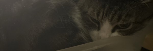 fandoomerrising Profile Banner