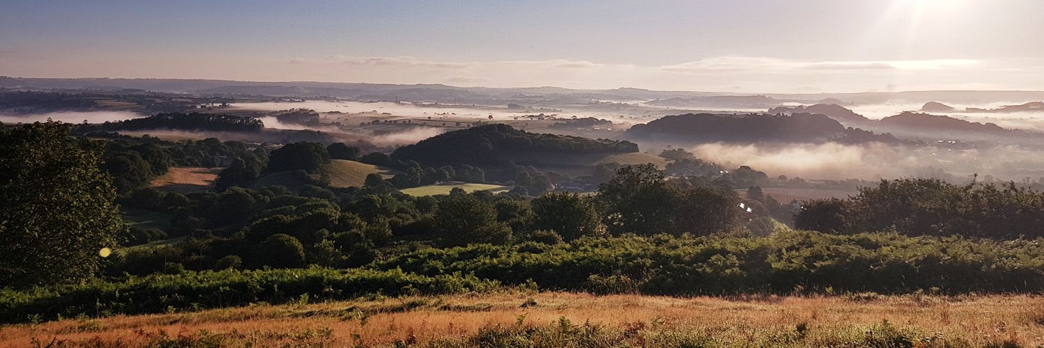 Sarah Courtney banner