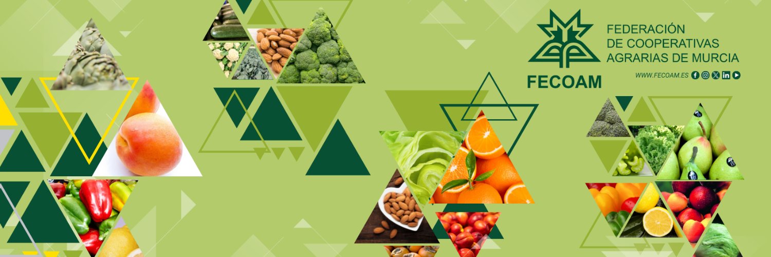 fecoam's profile banner image