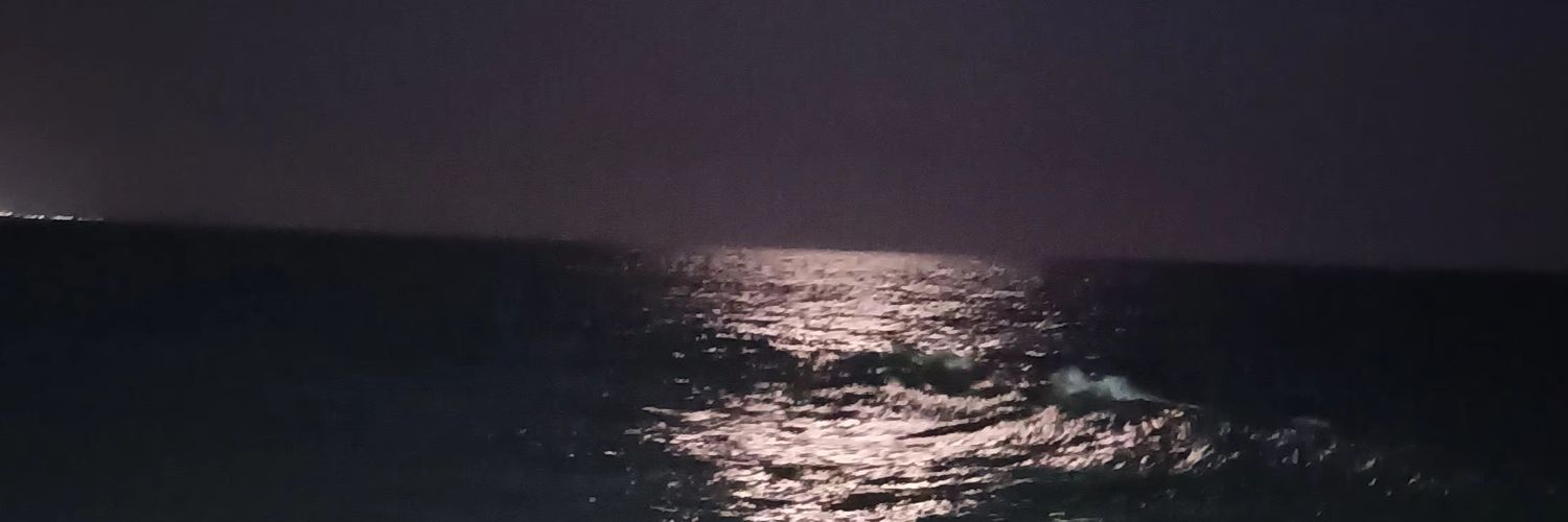 wendimdm's profile banner image