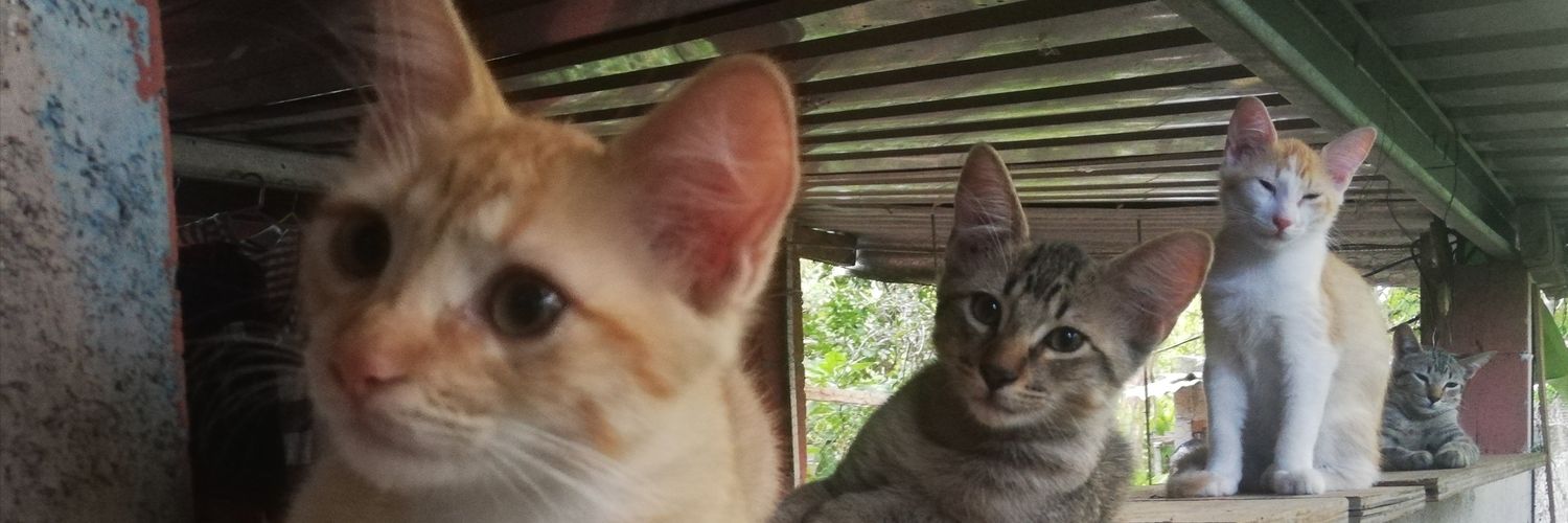 Fer2314Mtz's profile banner image