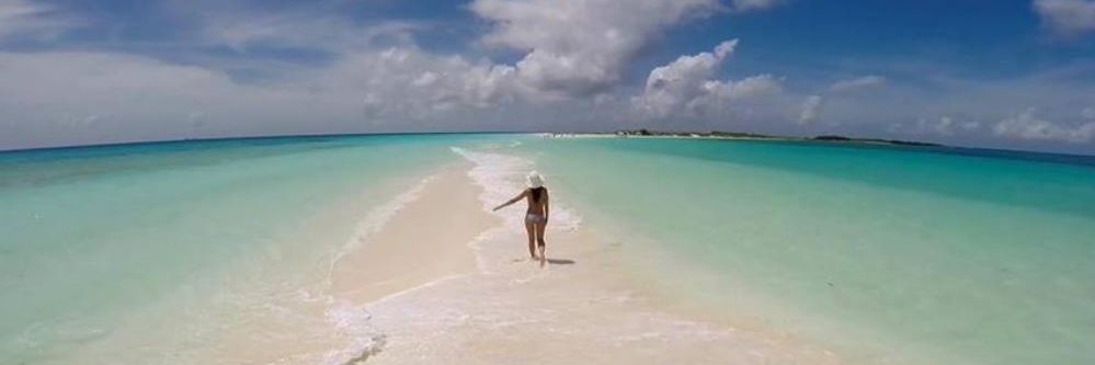 Claudia 🦊🦊🇵🇸🇵🇸🇵🇸🇵🇸 banner