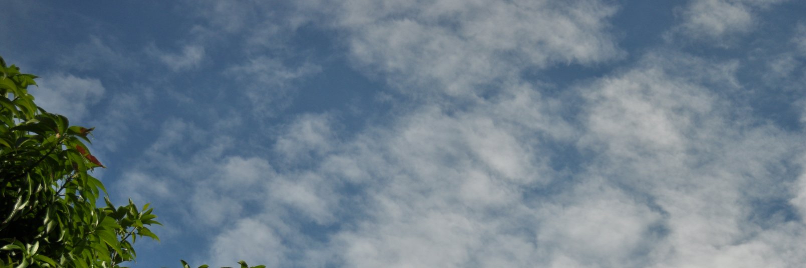 hebertoamor's profile banner image