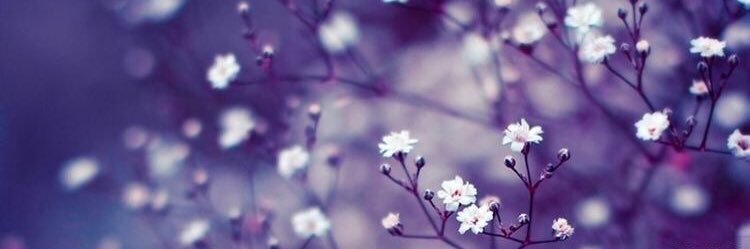 dulk_nolasco's profile banner image
