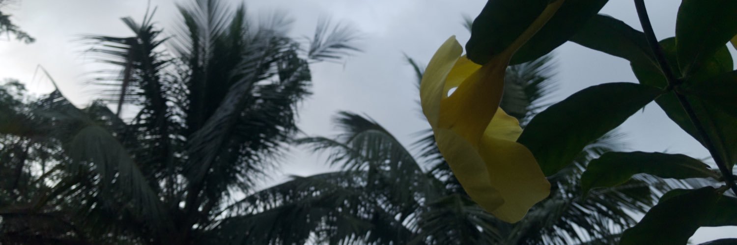 davifne's profile banner image