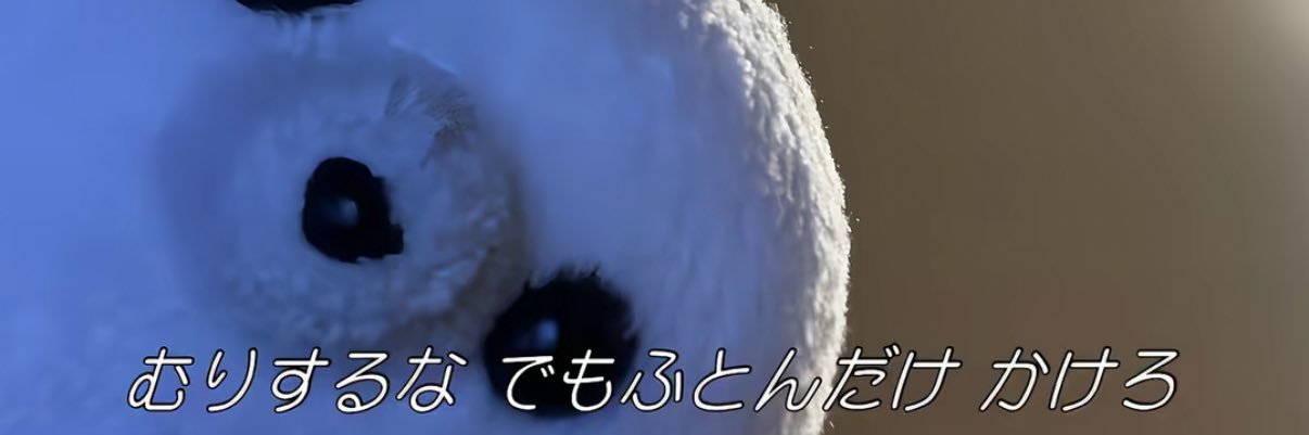 お banner