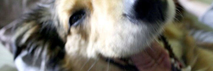 scaseycrowe's profile banner image