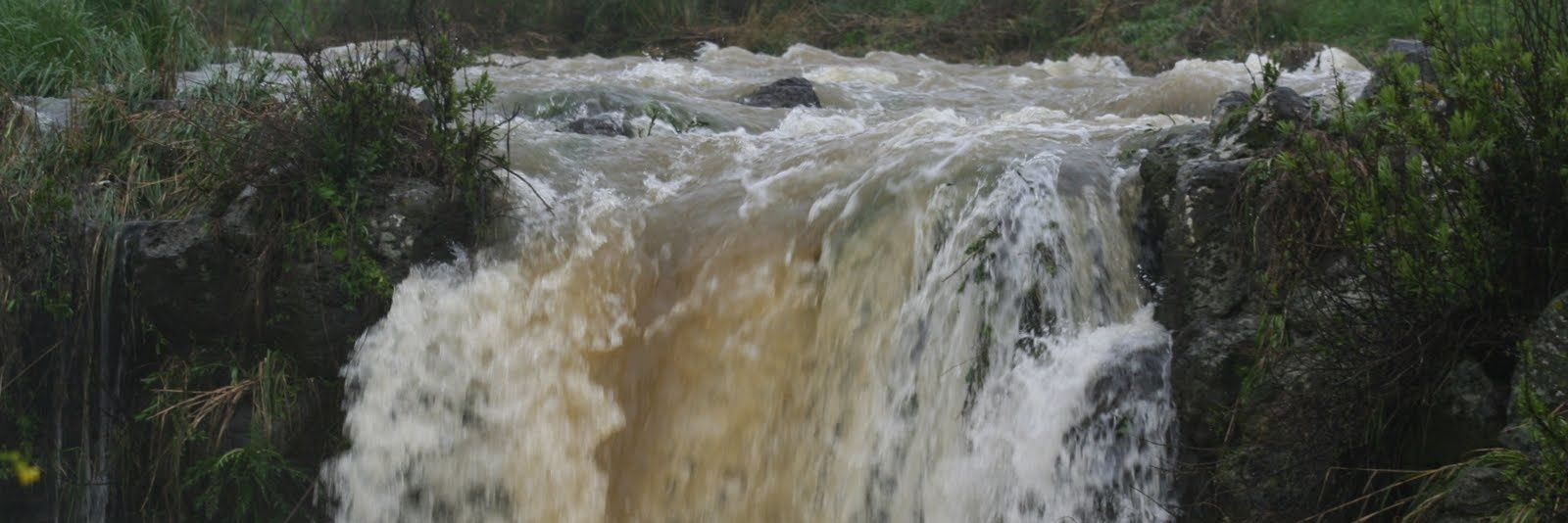 יהונתן קליין banner